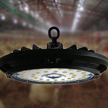 led low bay shed lights